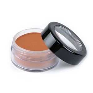 PICTURE PERFECT FOUNDATION – ORIGINAL (SUN WORSHIP TAN)